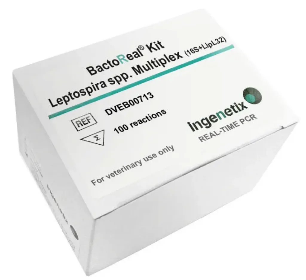 Imagem de BactoReal® Leptospira spp. Multiplex (16S rDNA + LipL32)