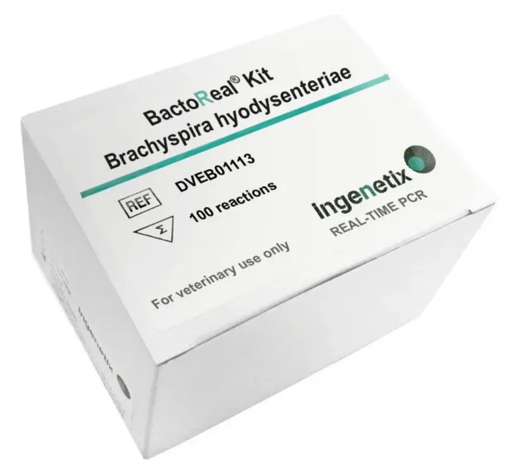 Picture of BactoReal® Kit Brachyspira hyodysenteriae