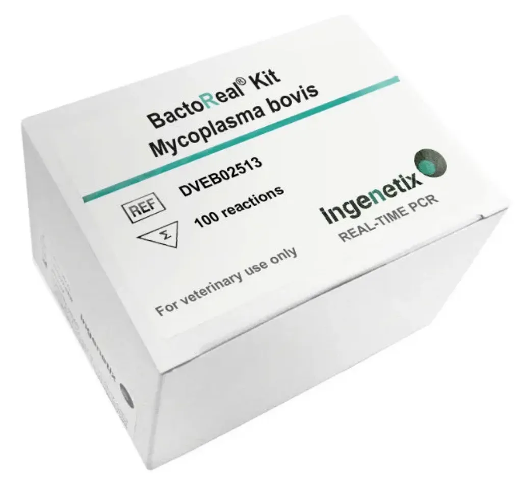 Picture of BactoReal® Kit Mycoplasma bovis