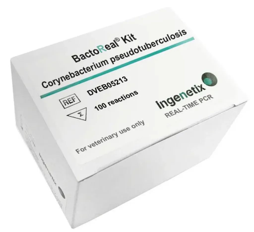 Picture of BactoReal® Kit Corynebacterium pseudotuberculosis